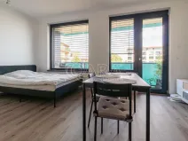 Pronájem bytu 1+kk, Praha - Žižkov, Olgy Havlové, 33 m2
