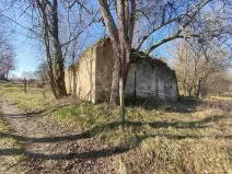 Dražba pozemku pro bydlení, Dolní Dvořiště, 11107 m2