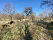 Dražba pozemku pro bydlení, Dolní Dvořiště, 11107 m2