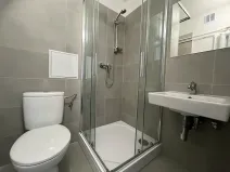Pronájem bytu 1+1, Třinec, 17. listopadu, 28 m2