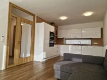 Pronájem bytu 2+kk, Plzeň, Pallova, 55 m2