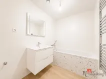 Prodej bytu 2+kk, Plzeň - Jižní Předměstí, Železná, 58 m2