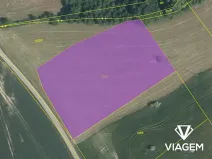 Prodej podílu pole, Zvěstov, 1222 m2