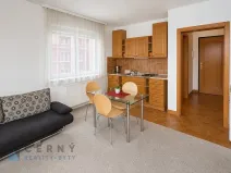 Pronájem bytu 1+kk, Liberec, Boženy Němcové, 28 m2