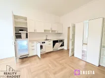 Pronájem bytu 1+kk, Praha - Vinohrady, Perunova, 27 m2