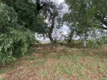 Prodej pozemku, Holasovice, 173 m2