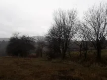 Prodej pole, Teplice nad Metují - Dolní Teplice, 25028 m2