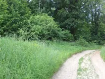 Prodej pozemku, Pohledy - Horní Hynčina, 1135 m2