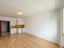 Pronájem bytu 1+kk, Praha - Vinohrady, Římská, 25 m2