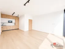 Pronájem bytu 2+kk, Plzeň - Jižní Předměstí, Železná, 79 m2