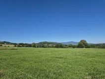 Pronájem zahrady, Bukovec, 1755 m2