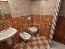 Pronájem komerční nemovitosti, Pardubice, Štrossova, 205 m2