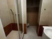 Pronájem bytu 1+kk, Praha - Vinohrady, Řipská, 46 m2
