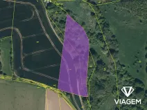 Prodej pole, Přelouč, 8402 m2