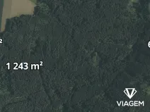 Prodej lesa, Římov, 1365 m2