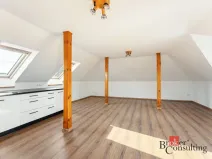 Pronájem bytu 3+kk, Mladá Boleslav - Bezděčín, 110 m2