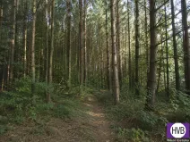 Prodej lesa, Lázně Toušeň, 8844 m2