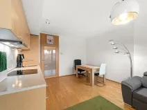 Prodej bytu 2+kk, Praha - Žižkov, Pitterova, 52 m2