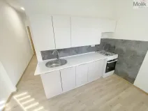 Prodej bytu 1+1, Most, Vítězslava Nezvala, 36 m2