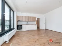 Pronájem bytu 1+kk, Plzeň - Jižní Předměstí, Železná, 38 m2