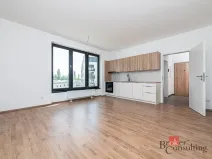 Pronájem bytu 1+kk, Plzeň - Jižní Předměstí, Železná, 38 m2