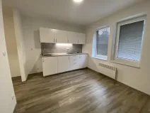 Pronájem bytu 1+kk, Brno - Maloměřice, Hády, 18 m2