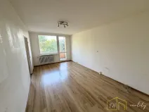Prodej bytu 1+1, Bílina - Pražské Předměstí, Aléská, 34 m2