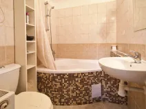 Pronájem bytu 2+kk, Líně, Plzeňská, 42 m2