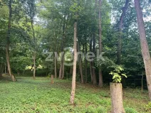 Prodej pozemku pro bydlení, Halenkovice, 1620 m2