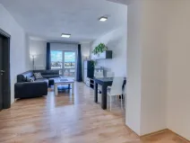 Pronájem bytu 2+kk, Plzeň, U Borských kasáren, 52 m2