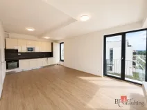Pronájem bytu 2+kk, Plzeň - Jižní Předměstí, Železná, 57 m2