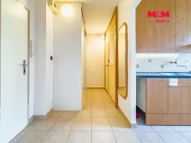 Prodej bytu 1+1, Ostrava - Výškovice, Lumírova, 40 m2