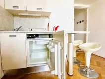 Pronájem bytu 1+kk, Praha - Žižkov, Fibichova, 25 m2