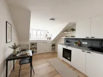 Pronájem bytu 1+kk, Praha - Nusle, Petra Rezka, 19 m2