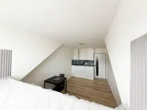 Pronájem bytu 1+kk, Praha - Nusle, Petra Rezka, 19 m2