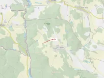 Dražba lesa, Volfířov, 80 m2