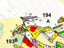 Dražba lesa, Volfířov, 557 m2