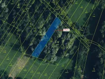 Dražba lesa, Přerov, 1145 m2