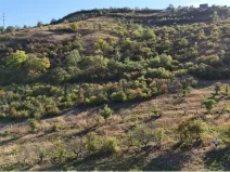 Prodej pole, Kamýk, 6102 m2