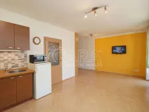 Pronájem bytu 1+kk, Praha - Holešovice, U měšťanského pivovaru, 42 m2