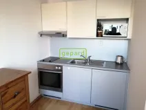 Pronájem bytu 1+kk, Brno - Staré Brno, Křížkovského, 26 m2