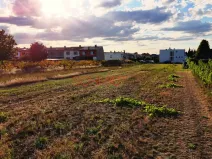 Prodej pozemku pro bydlení, Lanžhot, Školní, 616 m2