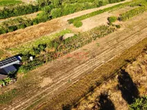 Prodej pozemku pro bydlení, Lanžhot, Školní, 616 m2