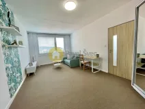 Pronájem bytu 1+1, Strakonice - Strakonice I, Mlýnská, 33 m2