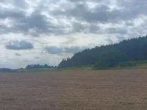 Prodej pole, Počepice, 49428 m2