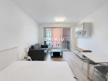 Pronájem bytu 1+kk, Brno, Dornych, 29 m2