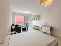 Pronájem bytu 1+kk, Brno, Dornych, 29 m2