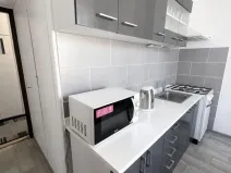 Prodej bytu 1+1, Klášterec nad Ohří - Miřetice u Klášterce nad Ohří, Václava Řezáče, 40 m2