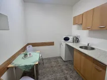Pronájem obchodního prostoru, Litvínov, Ruská, 45 m2