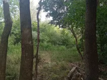 Prodej louky, Lednice - Nejdek, 5680 m2